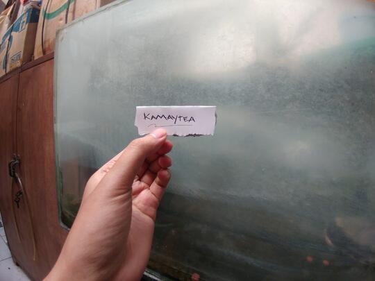 Tanpa Soda Api, Life Hack Sederhana Ini Bikin Aquarium Kinclong !