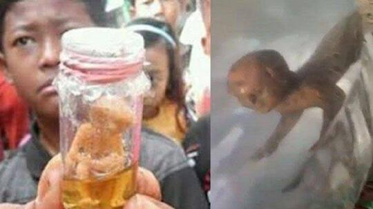 Tuyul Itu Beneran Ada Atau Hoax Sih?