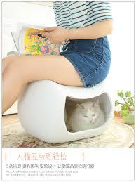 Kenapa Kotoran Kucing Baunya Menyengat?
