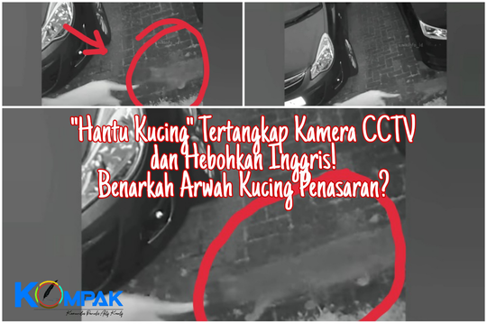 Hantu Kucing Tertangkap CCTV, Hebohkan Medsos Indonesia dan Inggris! Arwah Penasaran?