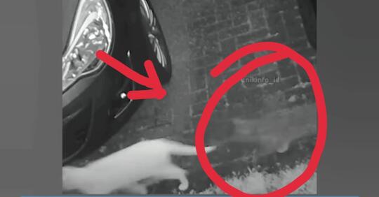 Hantu Kucing Tertangkap CCTV, Hebohkan Medsos Indonesia dan Inggris! Arwah Penasaran?