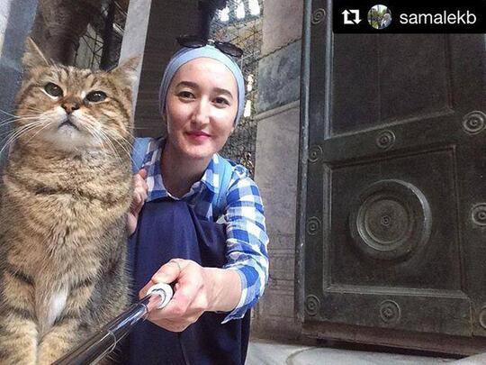 5 Fakta Tentang Gli, Kucing Lucu yang Loyal Hidup di Hagia Shopia Selama 16 Tahun