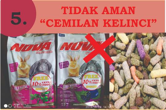 INFO PENTING! Cemilan Yang Dilarang Untuk Konsumsi Hamster