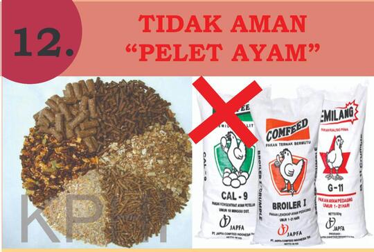 INFO PENTING! Cemilan Yang Dilarang Untuk Konsumsi Hamster