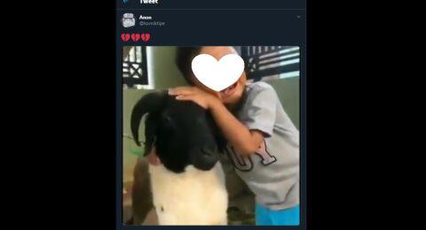 Viral Bocah Tangisi Kambingnya Sebelum Dipotong, Publik Ikut Patah Hati