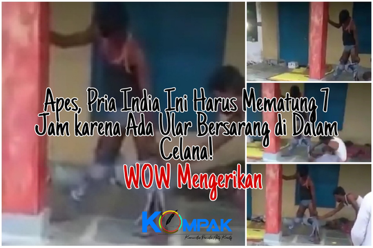 Mengerikan, Pria Ini Harus Mematung 7Jam karena Ada Ular di Dalam Celananya! Selamat?