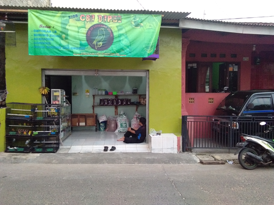 Tips Usaha Kios Makanan Burung