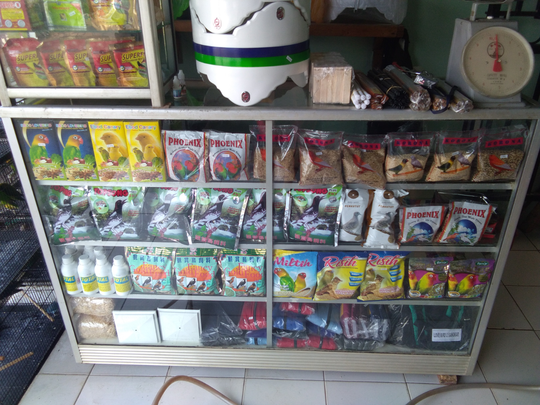 Tips Usaha Kios Makanan Burung