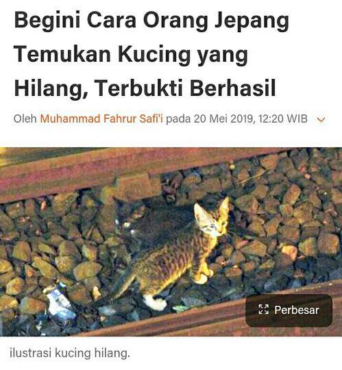 Kucingmu hilang? Pakailah Cara Unik ini Untuk Mencari Kucing yang 