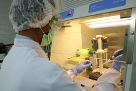 Kabar Gembira Nih, Bio Farma Siap Memproduksi 250 Juta Vaksin Covid!