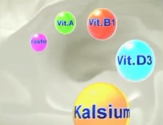 Dibalik Manisnya - Susu Yang Kental Manis Menyimpan Sebuah Rahasia
