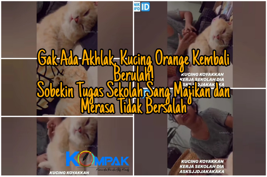 Gak Ada Akhlak, Kucing Orange Ini Robek Tugas Sekolah Majikannya Tanpa Rasa Bersalah!
