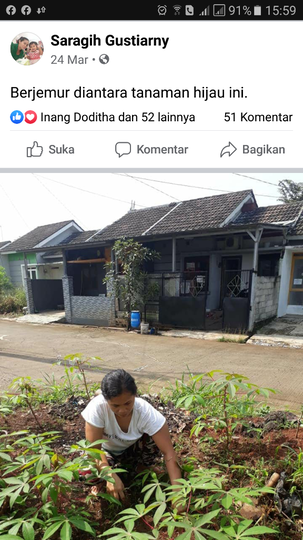 Unik Dan Bermanfaat, Tanaman Apakah Ini?