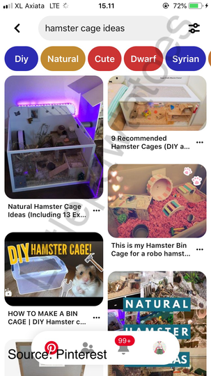 Kandang Jeruji Berbahaya Untuk Hamster! Cek Yuk Kandang Yang Baik Untuk Hamster