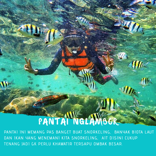4 Pantai Buat Snorkeling Di Jogja