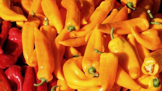 Terlalu percaya diri makan makanan pedas, lihat yang terjadi pada orang-orang ini..