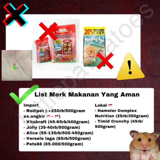 Mainan, Makanan, Cemilan dan Bedding Yang Berbahaya Untuk Hamster