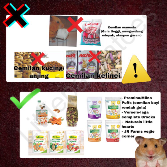 Mainan, Makanan, Cemilan dan Bedding Yang Berbahaya Untuk Hamster