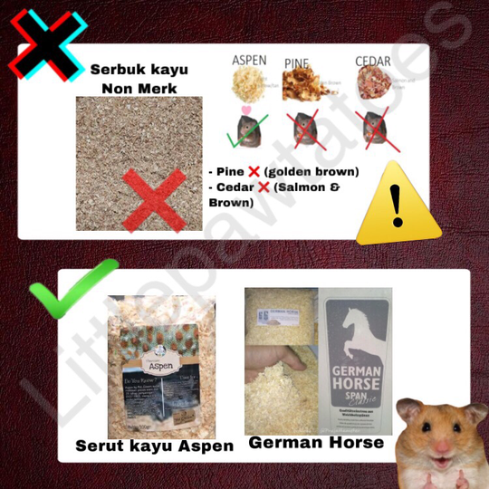 Mainan, Makanan, Cemilan dan Bedding Yang Berbahaya Untuk Hamster