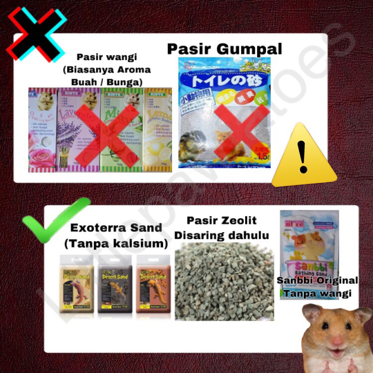 Mainan, Makanan, Cemilan dan Bedding Yang Berbahaya Untuk Hamster