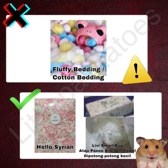 Mainan, Makanan, Cemilan dan Bedding Yang Berbahaya Untuk Hamster