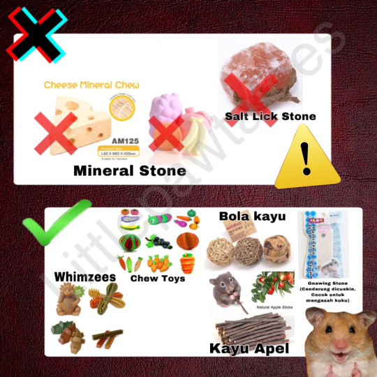 Mainan, Makanan, Cemilan dan Bedding Yang Berbahaya Untuk Hamster
