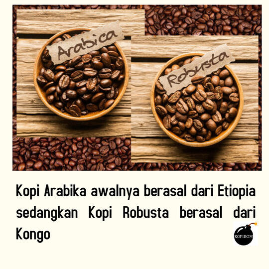 FAKTA KOPI by KOPIBOM.ID