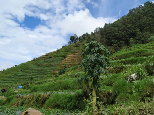 KALAH TENAR di MEDSOS daripada Gunung Prau ! CATPER Gunung Pakuwaja via Parikresit