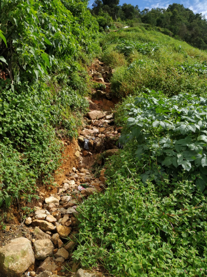 KALAH TENAR di MEDSOS daripada Gunung Prau ! CATPER Gunung Pakuwaja via Parikresit