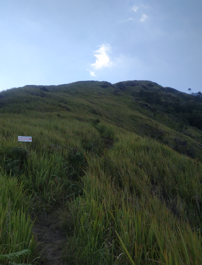 GUNUNG UNGARAN PUNYA JALUR BARU ! CATPER UNGARAN via Perantunan 27-28 Agustus 2020