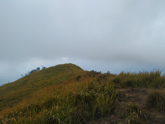 GUNUNG UNGARAN PUNYA JALUR BARU ! CATPER UNGARAN via Perantunan 27-28 Agustus 2020