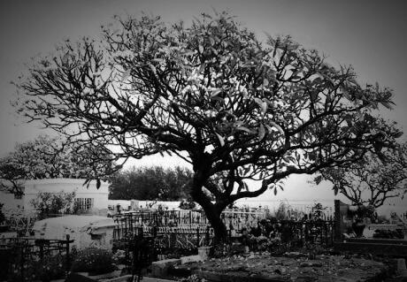 Di Antara Dua Makam