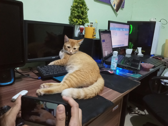Mengapa Programmer Suka Kerja Malam ?