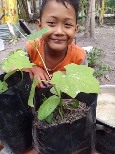 Dengan Sistem Fertigasi Kapiler Tanaman Kesayangan Gak Takut Kekeringan Kaskus