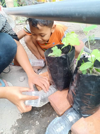 Dengan Sistem Fertigasi Kapiler Tanaman Kesayangan Gak Takut Kekeringan Kaskus