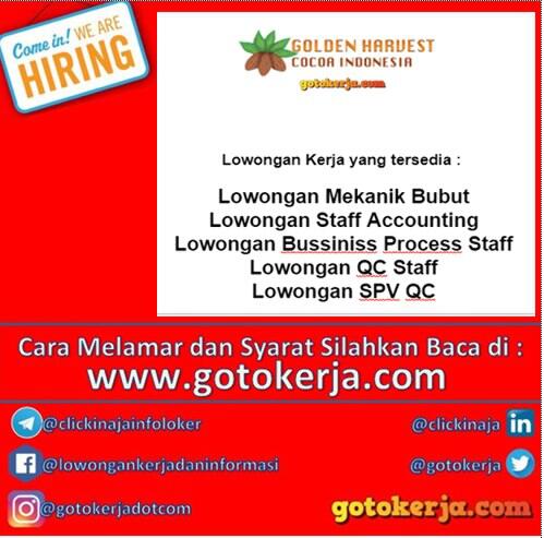 Lowongan Kerja Urgent Kaskus