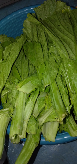 Menu Makan Siang Ala Wong Kampung di Tengah Pandemi Virus Corona