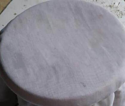 Tanaman Kerdil dan Terkena Layu Fusarium? Jakaba Jamur Keberuntungan Abadi Solusinya!