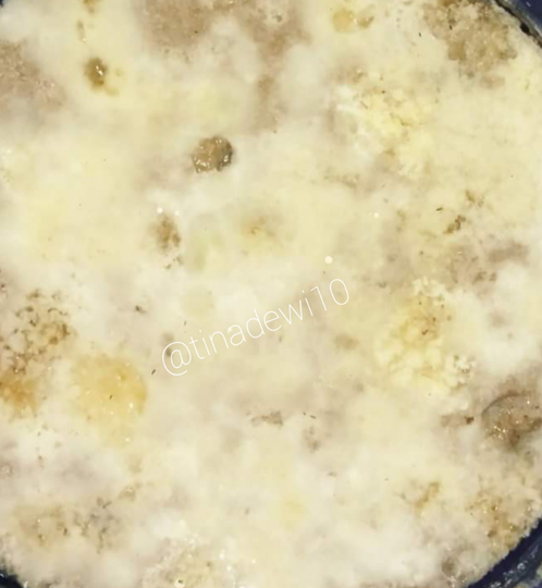 Tanaman Kerdil dan Terkena Layu Fusarium? Jakaba Jamur Keberuntungan Abadi Solusinya!