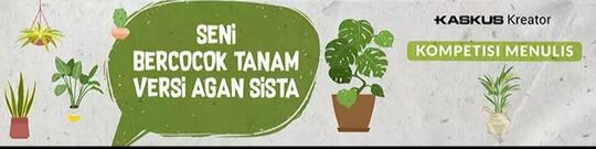 Tanaman Hias yang Cantik, Si Ungu Unik
