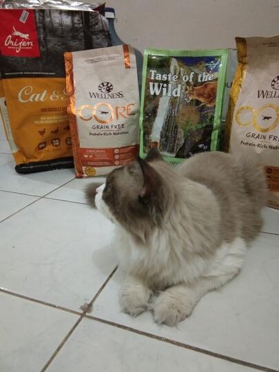 ALL ABOUT CAT FOOD (Dry Food/Kibble - Wet Food/Canned)  KASKUS