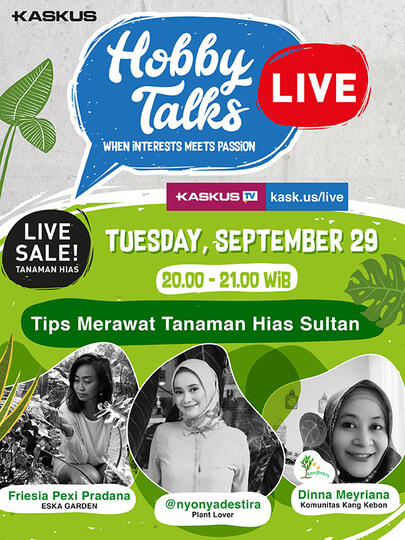 Tanaman Hias Harga Sultan, Bagaimana Cara Merawatnya? Temukan Infonya Dimari!