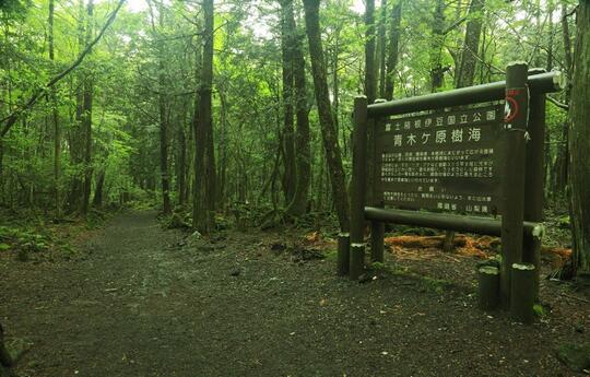 5 Fakta Menarik Tentang Jepang Selain Produsen Terbesar Film Esek Esek Dunia!