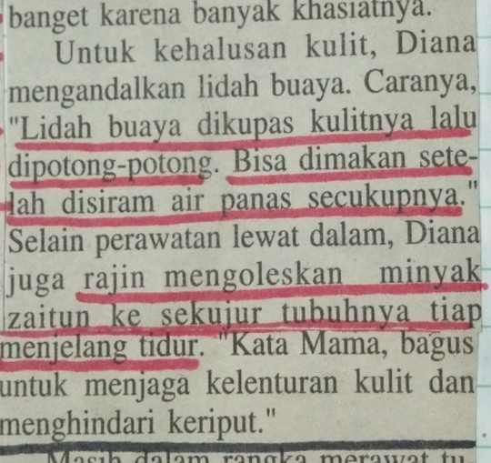Tips&Trik Merawat Tanaman ala Kaum Mager