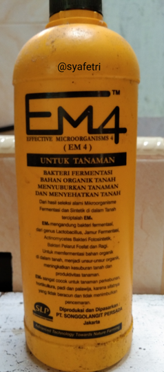 Tips&Trik Merawat Tanaman ala Kaum Mager