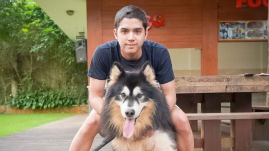 Ramai Artis Muslim Pelihara Anjing, UAS dan Buya Yahya Ungkap Hukumnya
