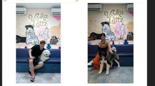 Ramai Artis Muslim Pelihara Anjing, UAS dan Buya Yahya Ungkap Hukumnya