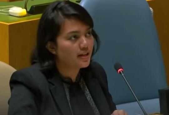 Lagi-lagi Singgung Isu HAM Papua, PM Vanuatu Kena Skakmat dari Diplomat Indonesia
