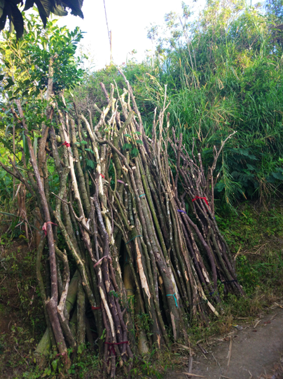 Yuk, Intip Proses Pembuatan Gula Merah Secara Tradisional