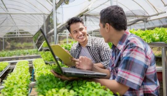 Saya Muda Saya Petani, Banggalah Menjadi Petani